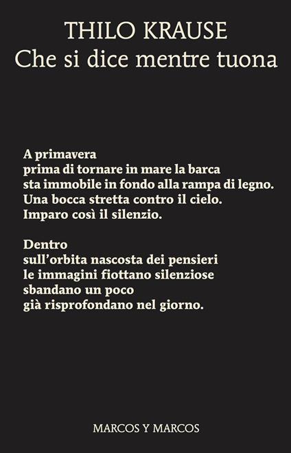 Che si dice mentre tuona - Thilo Krause - copertina