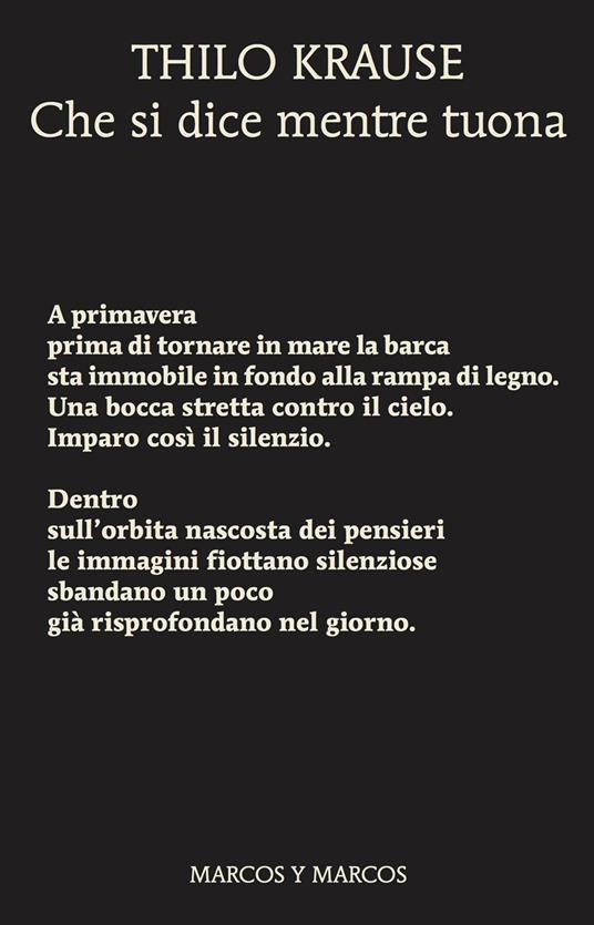 Che si dice mentre tuona - Thilo Krause - copertina