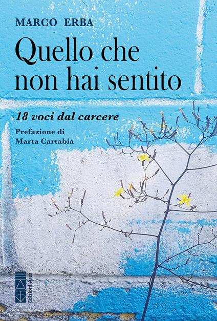Quello che non hai sentito. 18 voci dal carcere - Marco Erba - copertina