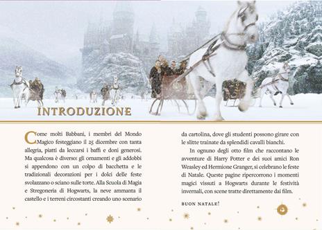 Harry Potter. Il calendario dell'Avvento. Ediz. a colori - 2
