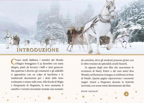 Harry Potter. Il calendario dell'Avvento. Ediz. a colori - 7