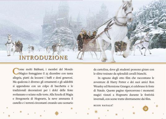 Harry Potter. Il calendario dell'Avvento. Con gadget - 2