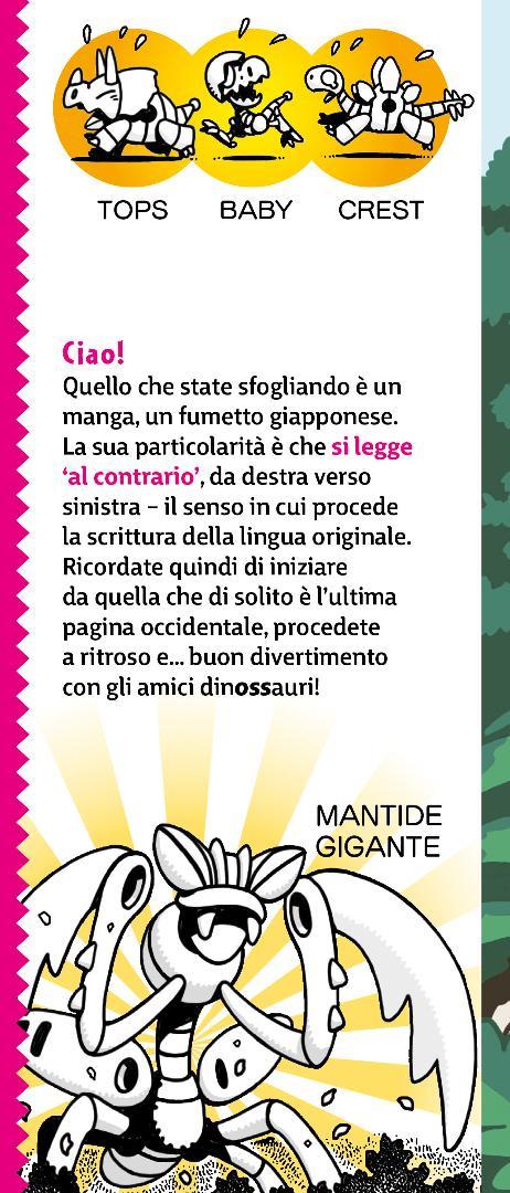 La cascata Arcobaleno. I dinossauri - Group Ammonites - 10