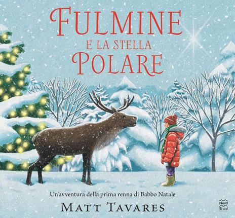 Fulmine e la stella polare - Matt Tavares - copertina