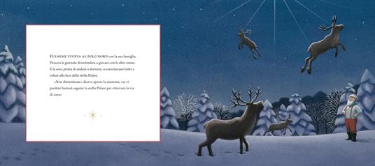 Fulmine e la stella polare. Ediz. a colori - Matt Tavares - 2