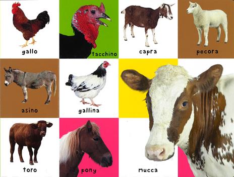 I miei primi 100 animali. Ediz. illustrata - 2