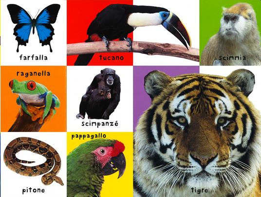 I miei primi 100 animali. Ediz. illustrata - 4