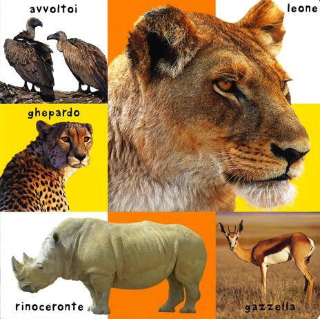 I miei primi 100 animali. Ediz. illustrata - 5