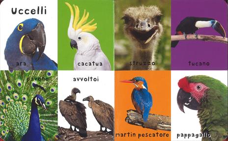 I miei primi 100 animali. Ediz. a colori - 4