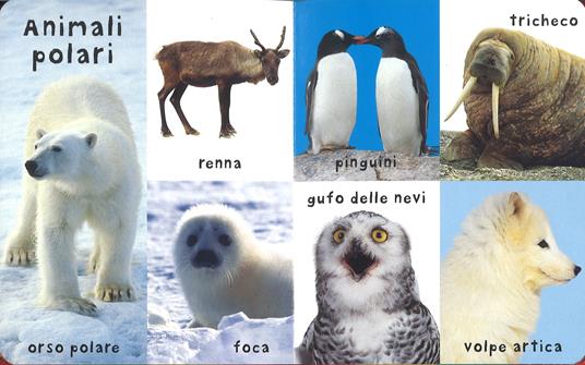 I miei primi 100 animali. Ediz. a colori - 5