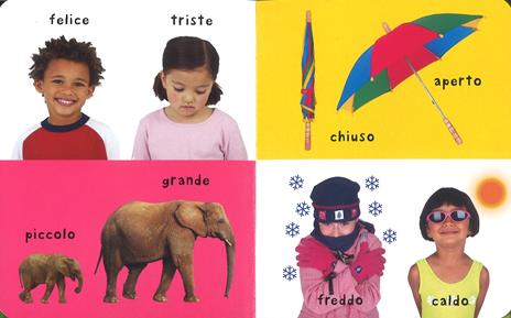 Numeri, colori, forme. Ediz. illustrata - 5