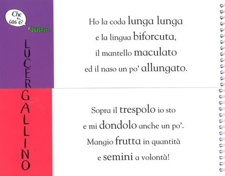 Cuccioli. Flip flap. Ediz. a colori - Axel Scheffler,Nosy Crow - 4