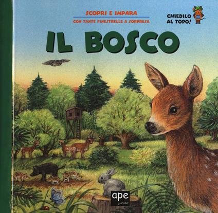 Il bosco. Ediz. a colori - copertina