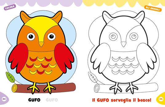 Colora gli animali. Ediz. a colori - 5