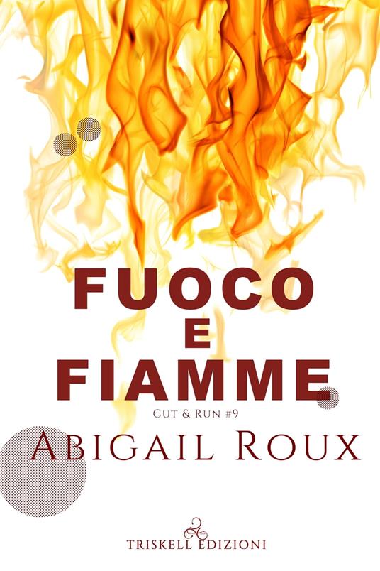 Fuoco e fiamme - Abigail Roux - ebook