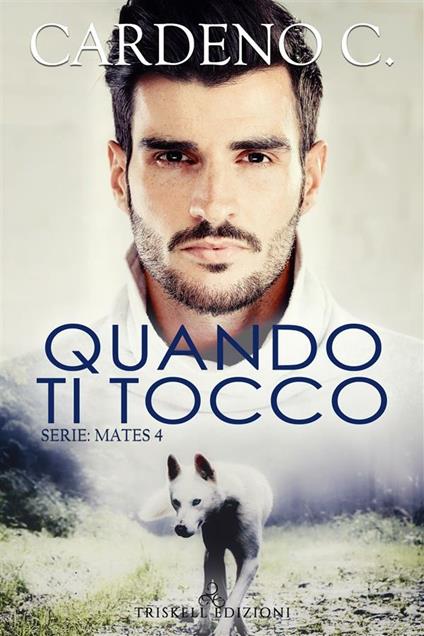 Quando ti tocco. Mates. Vol. 4 - C. Cardeno - ebook