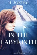 In the labyrinth