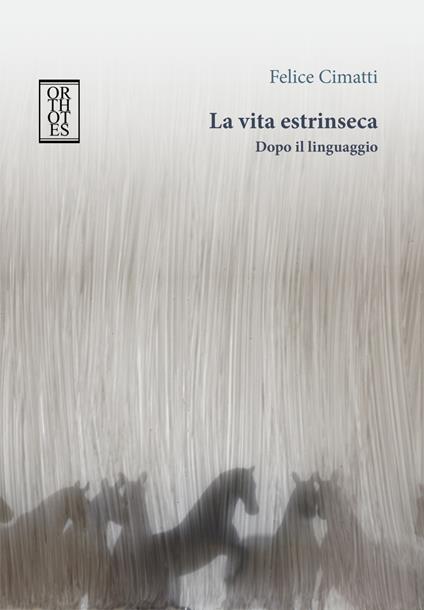 La vita estrinseca. Dopo il linguaggio - Felice Cimatti - copertina