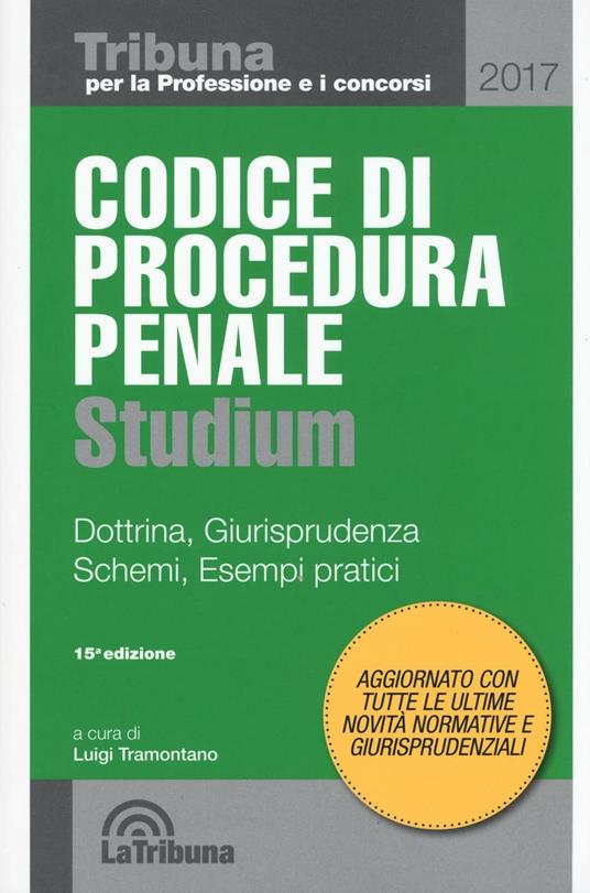 Codice di procedura penale Studium. Dottrina, giurisprudenza, schemi, esempi pratici - copertina