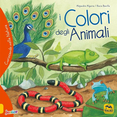 I colori degli animali. Curiosando nella natura. Ediz. a colori - Alejandro Algarra,Rocio Bonilla - 2