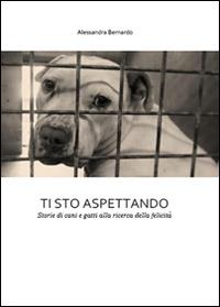 Ti sto aspettando - Alessandra Bernardo - copertina