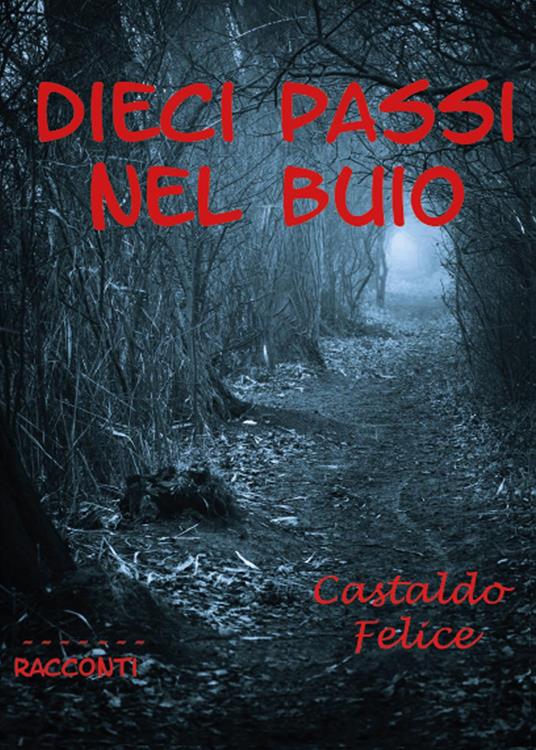 Dieci passi nel buio - Felice Castaldo - copertina