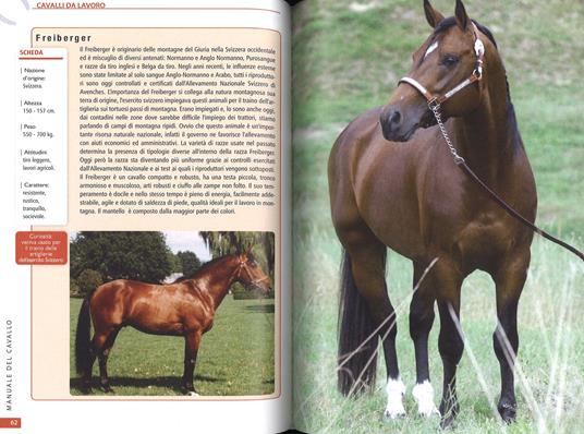 Il manuale del cavallo - 3