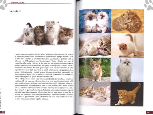 Il manuale del gatto - 2