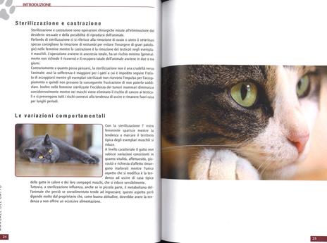 Il manuale del gatto - 3