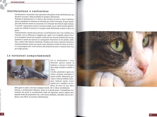 Il manuale del gatto - 3