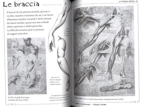 Impariamo a disegnare. Ediz. illustrata - 3