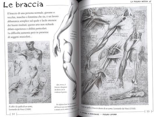 Impariamo a disegnare. Ediz. illustrata - 3