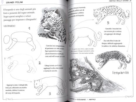 Impariamo a disegnare. Ediz. illustrata - 4