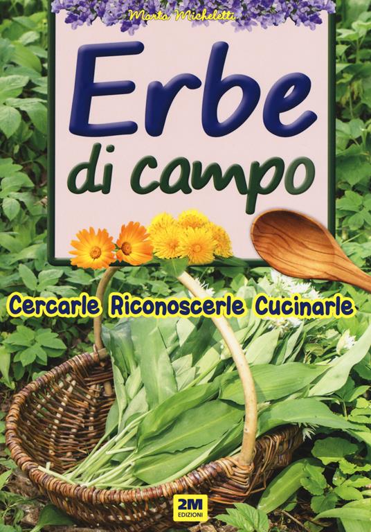 Erbe di campo. Cercarle, riconoscerle, cucinarle - copertina