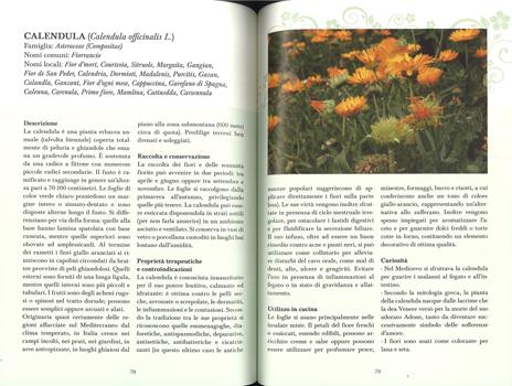 Erbe di campo. Cercarle, riconoscerle, cucinarle - 5