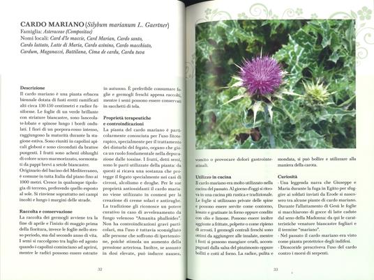 Erbe di campo. Cercarle, riconoscerle, cucinarle - Libro - 2M - | IBS