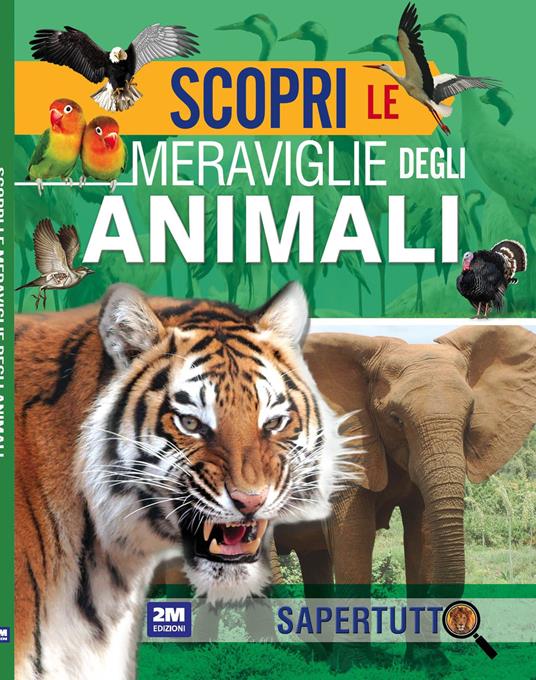 Scopri le meraviglie degli animali. Ediz. a colori - copertina
