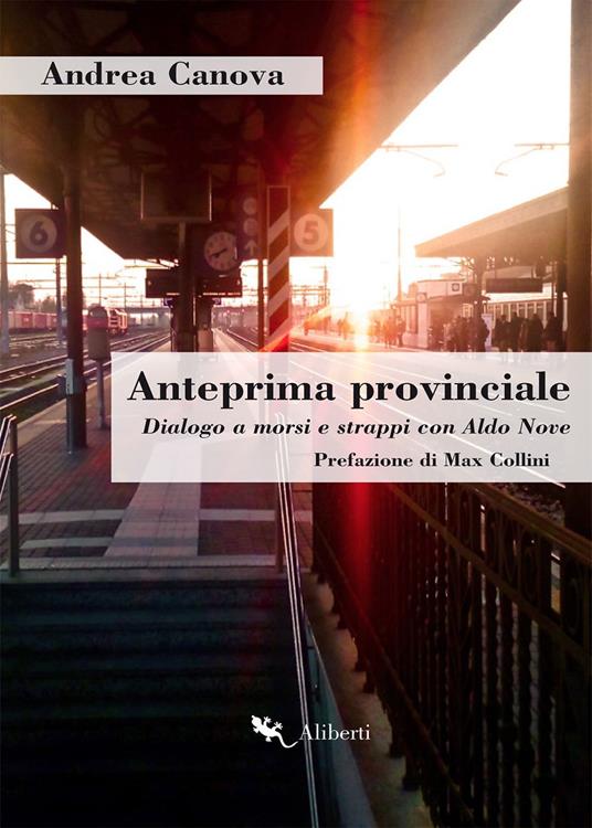 Anteprima provinciale. Dialogo a morsi e strappi con Aldo Nove - Andrea Canova - ebook