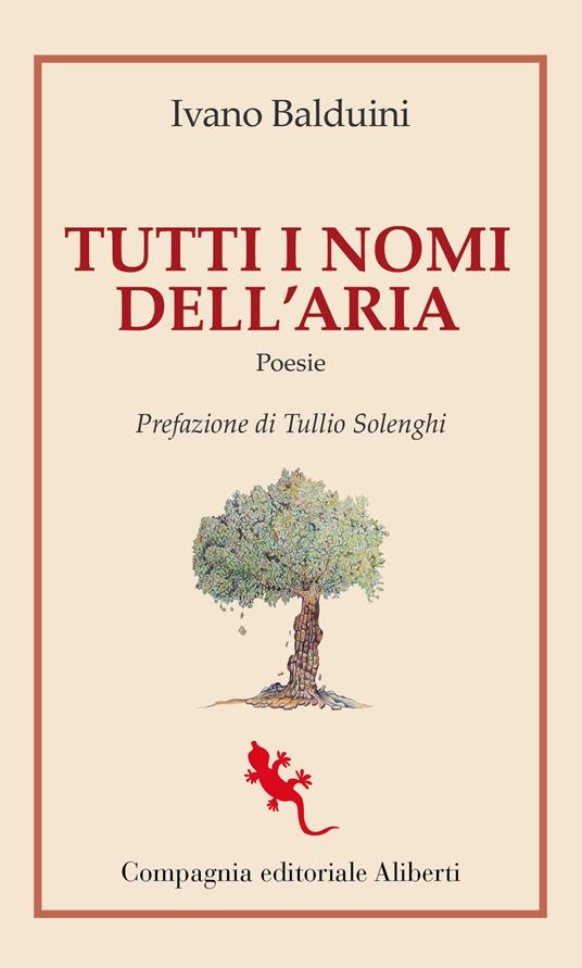 Tutti i nomi dell'aria - Ivano Balduini - copertina