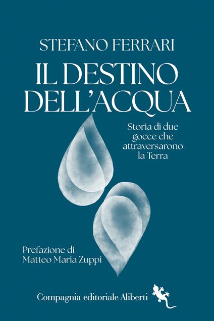 Il destino dell'acqua. Storia di due gocce che attraversarono la Terra - Stefano Ferrari - copertina