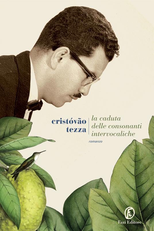 La caduta delle consonanti intervocaliche - Cristóvão Tezza,D. Petruccioli - ebook
