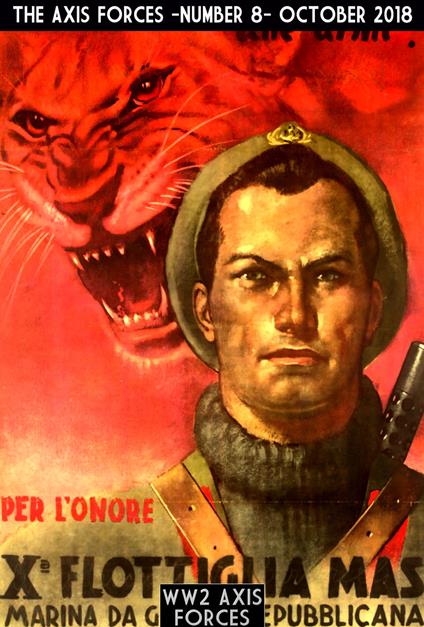 The Axis Forcese 8 - Massimiliano Afiero - cover