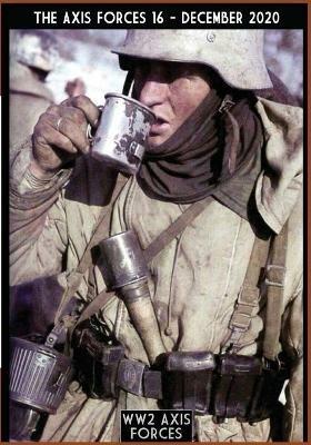 The Axis forces (2020). Vol. 16 - Massimiliano Afiero - copertina