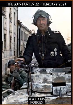 The Axis Forces. Vol. 22 - Massimiliano Afiero - copertina