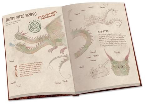 Dragon Trainer. Il grande libro dei draghi. Ediz. a colori - Cristina Panzeri - 2