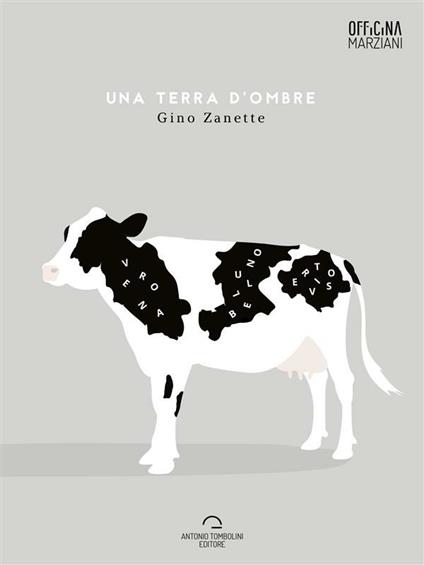Una terra d'ombre - Gino Zanette - ebook