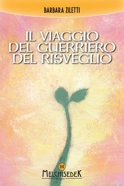 Il viaggio del guerriero del risveglio - Barbara Ziletti - ebook