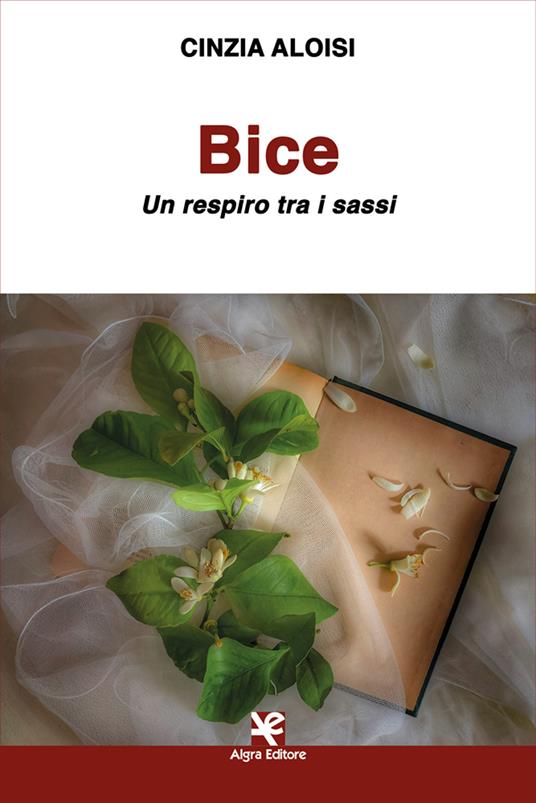 Bice. Un respiro tra i sassi - Cinzia Aloisi - copertina