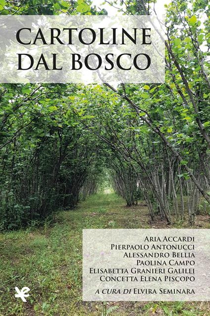 Cartoline dal bosco - copertina