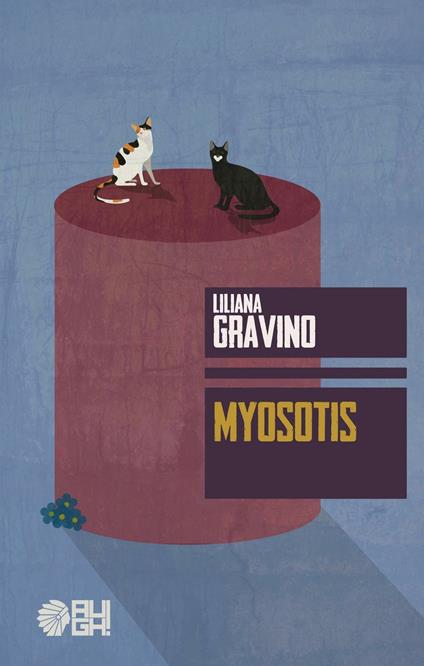 Myosotis - Liliana Gravino - copertina